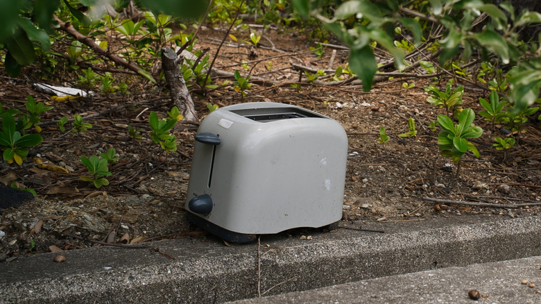 A clever way to turn a dead toaster into display-worthy decor