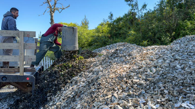Coastal septic systems: Marin County revisits rules in West Marin amid ...
