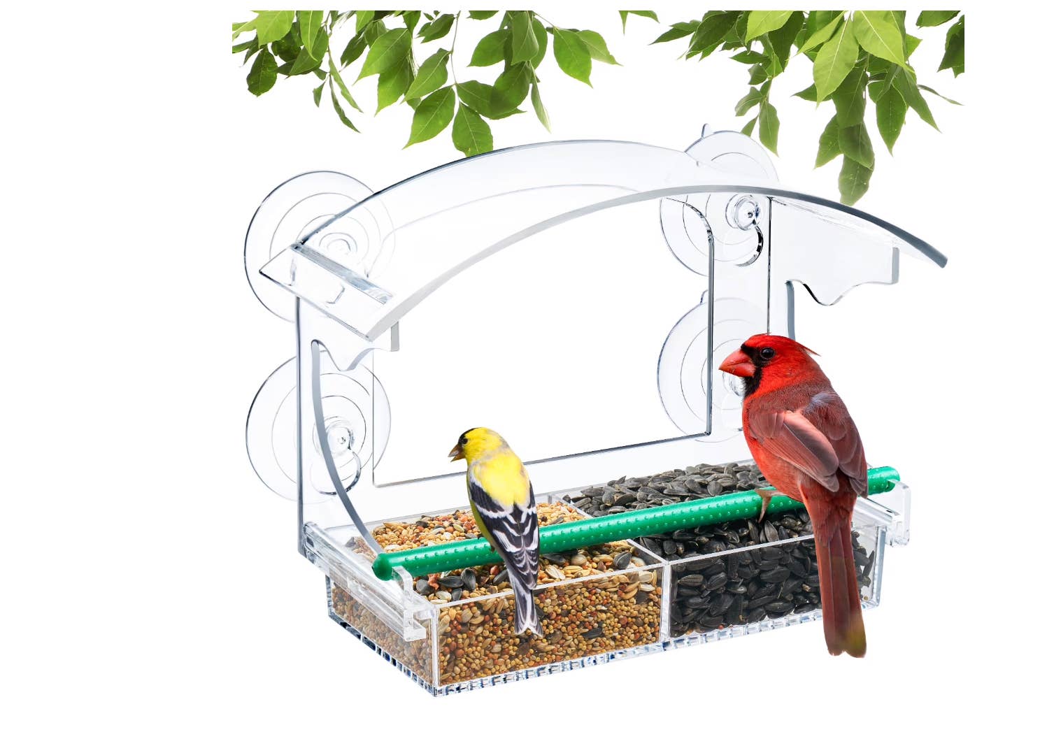 Transform your window with Walmart's $17 bird feeder for daily ...