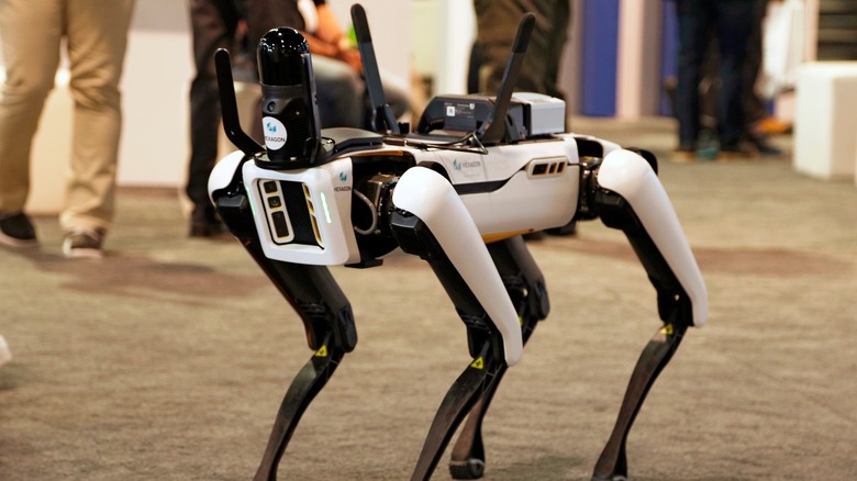 Robotic animals that prove technology has made huge leaps