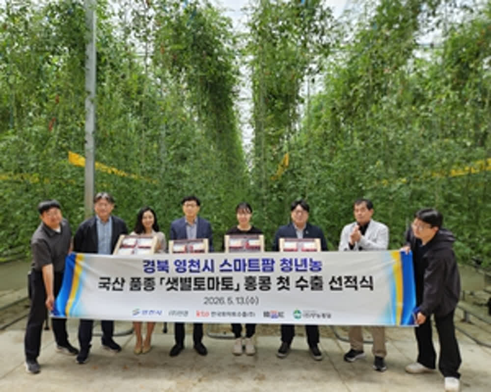 영천 청년농업인, 스마트팜 토마토 홍콩 첫 수출