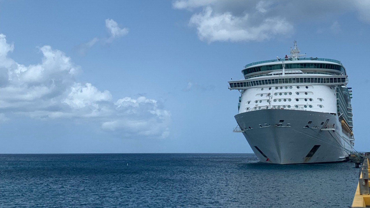 The CDC is now running the first-ever hantavirus cruise ship response ...