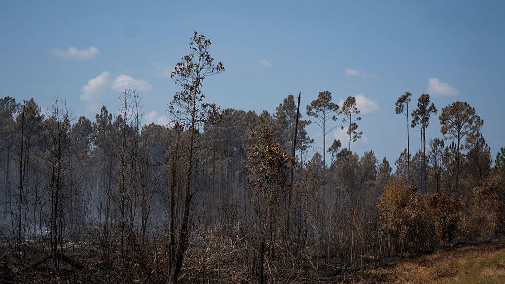Burn ban lifted statewide as two large South Georgia wildfires reach 90 ...