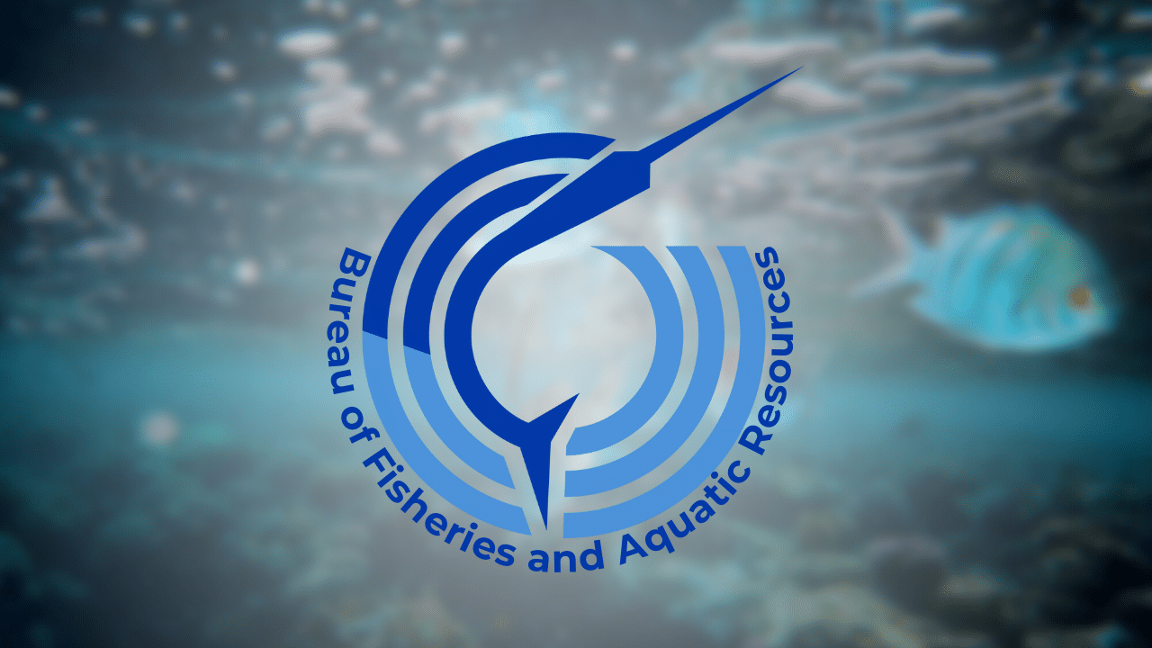 BFAR invests P34.66M to boost Zamboanga seaweed output