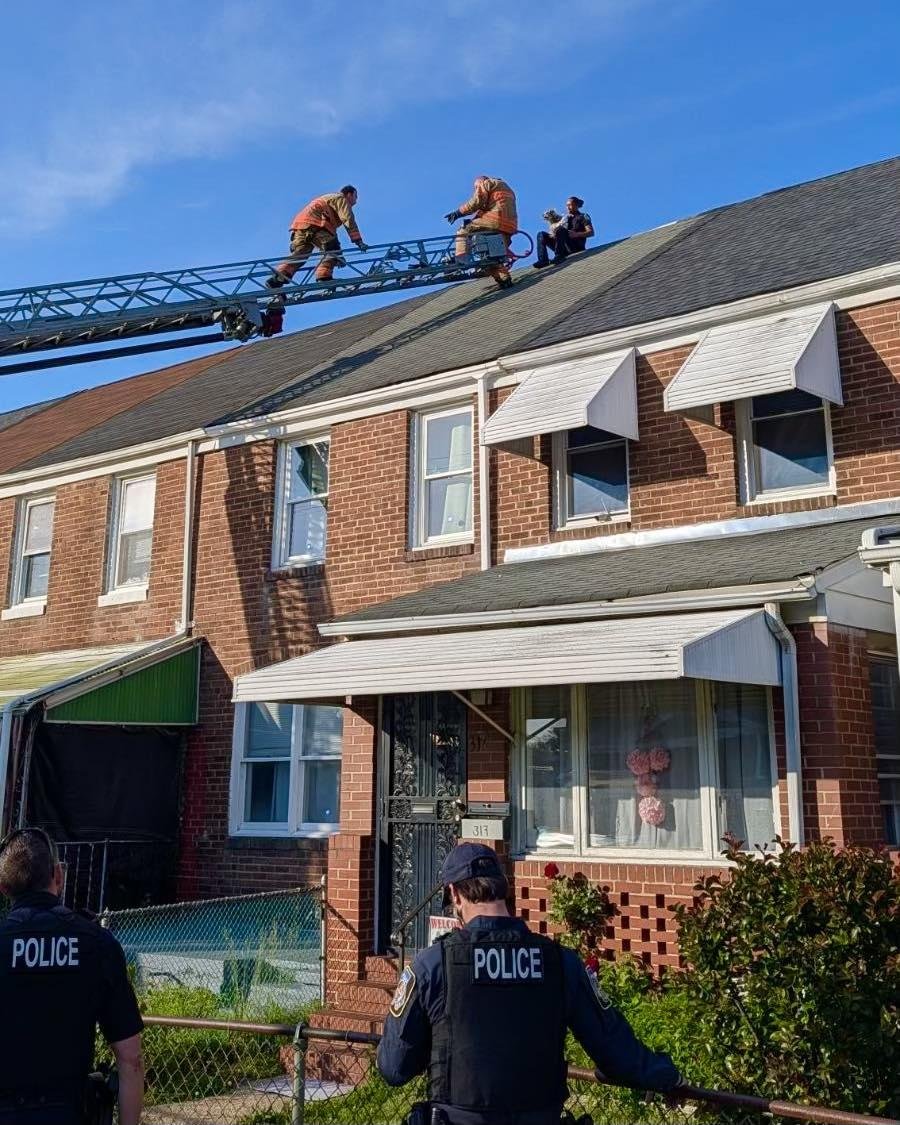 Look: Stranded dog rescued from Maryland rooftop