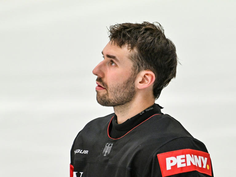 DEL: Haie holen Fleischer aus Straubing