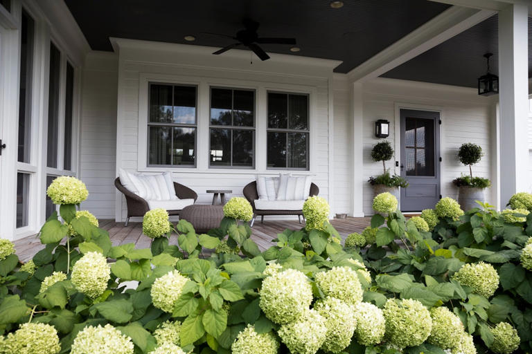 Front porches are back — and they’re reshaping how neighbors connect