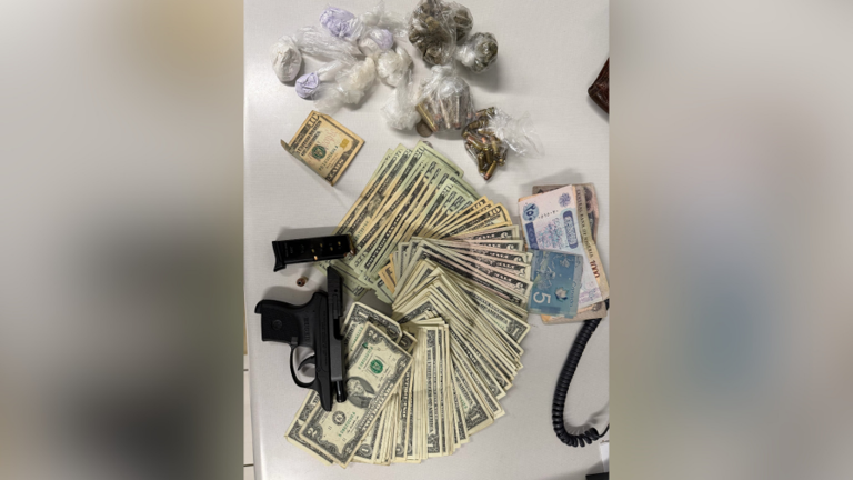 Large amounts of fentanyl, crack cocaine, meth, and a loaded gun seized ...