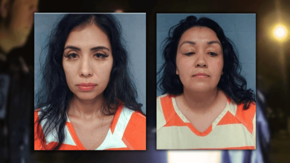 Deputies: 2 arrested after woman tries to hit her passenger with ...