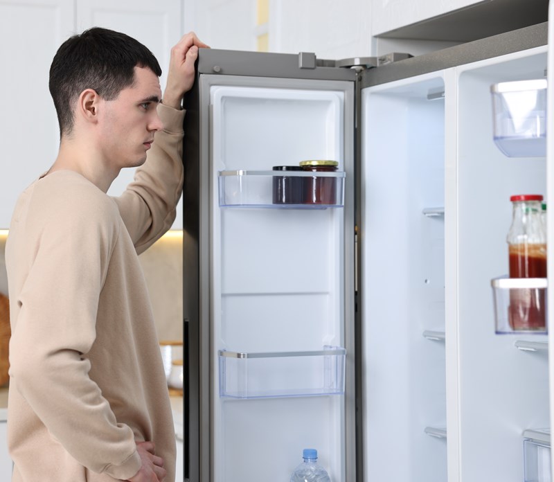 Landlord charges tenant a monthly fee for the smart fridge he installed ...