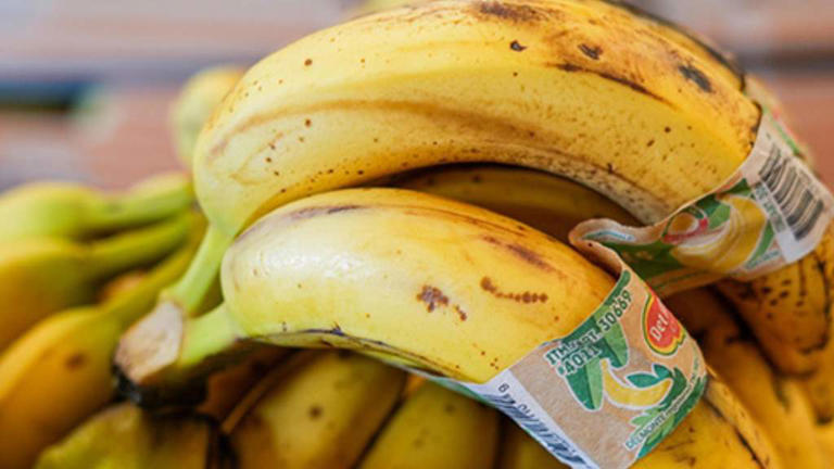 Best before date labels behind $12B in waste as food bank demand spikes