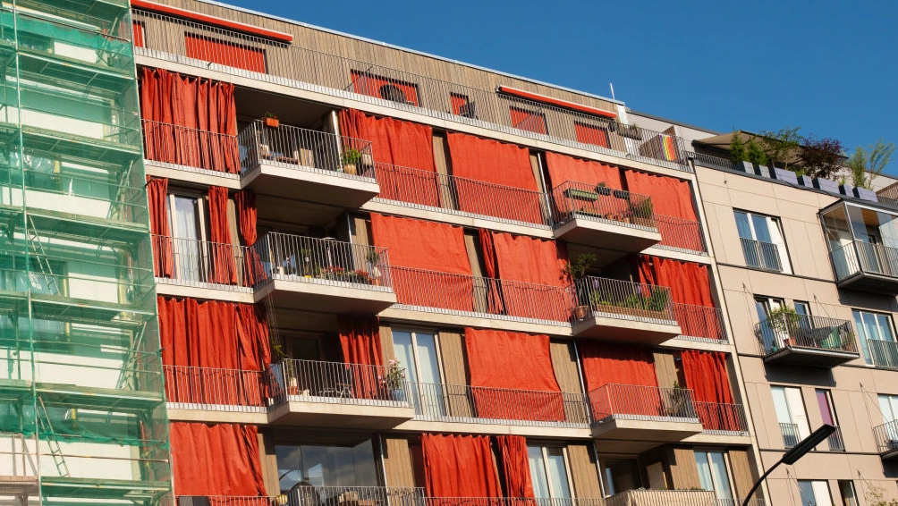 Experts stress design, health and upkeep for cooler summers