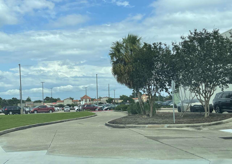 Dowlen H-E-B finishes curbside thoroughfare project
