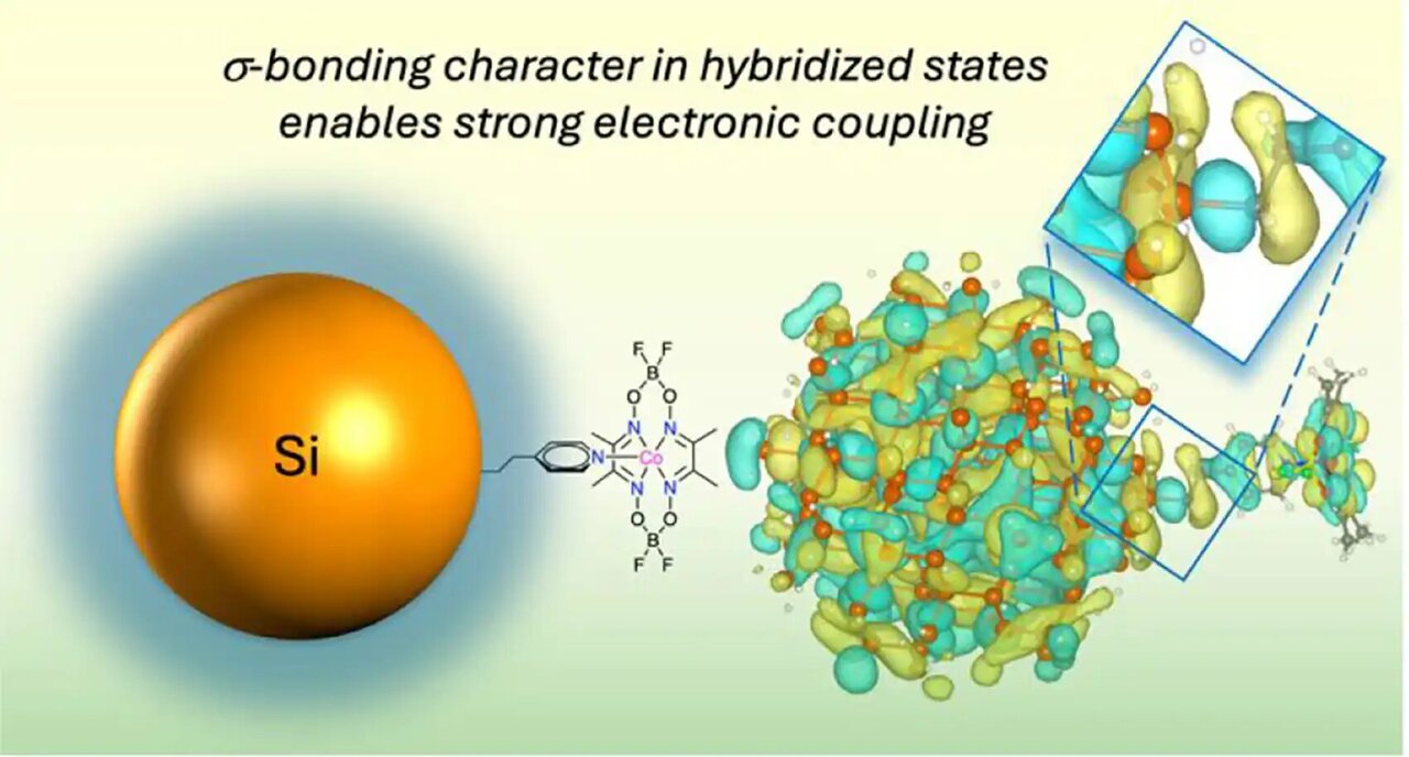 Silicon hybrid captures high-energy sunlight for fuel-making reactions ...