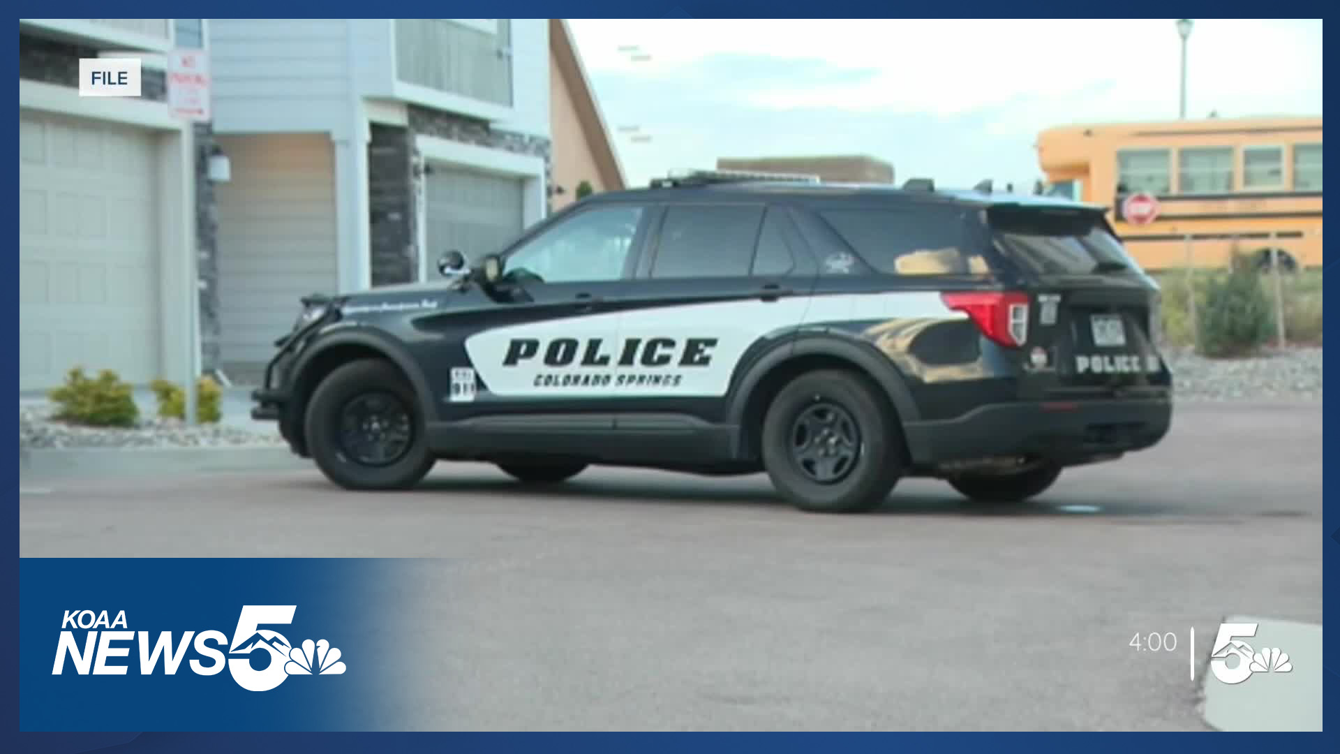 Man accused of stabbing K9 Roam pleads not guilty by reason of insanity