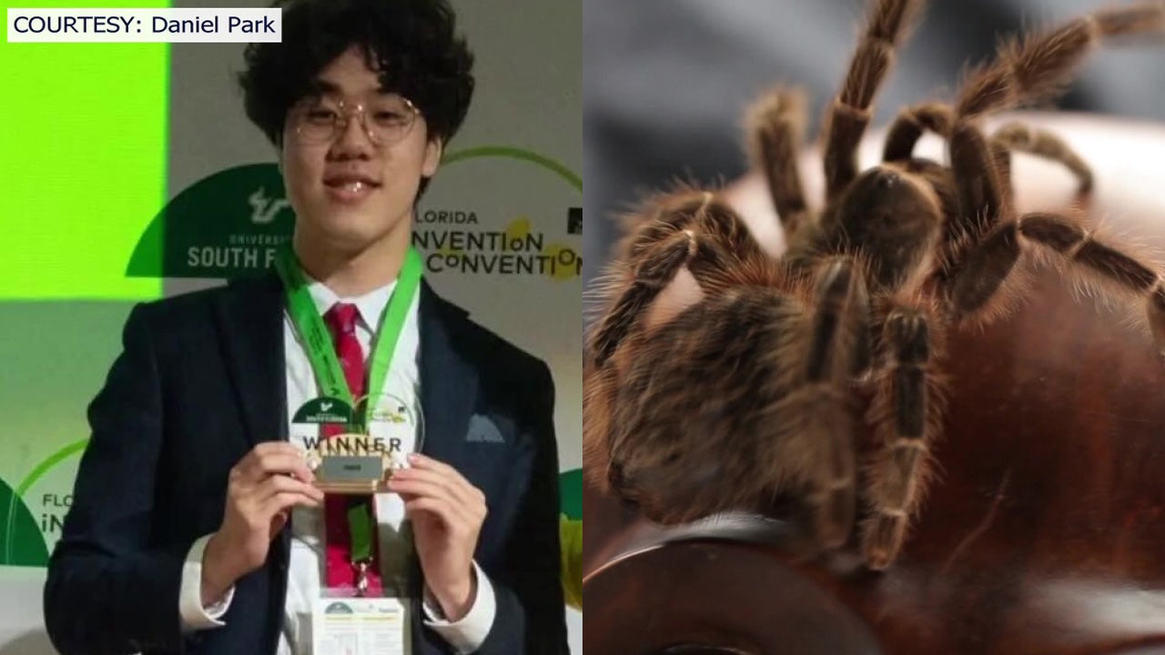 Can tarantula venom cure anxiety? Tampa teen's AI research wins Florida ...