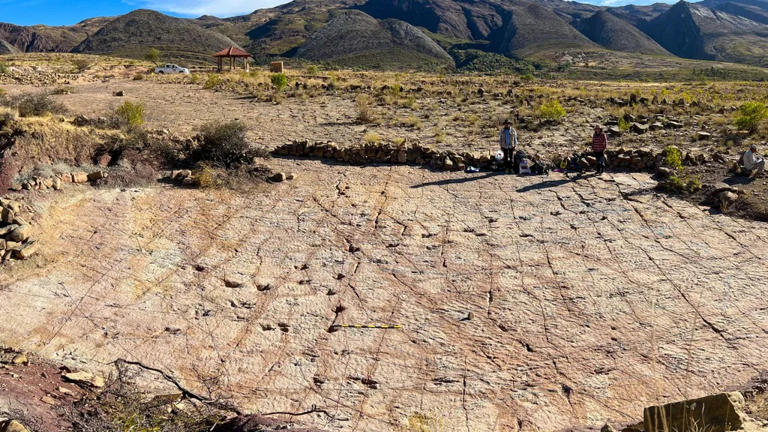 Scientists found a massive dinosaur footprint site around an ancient ...