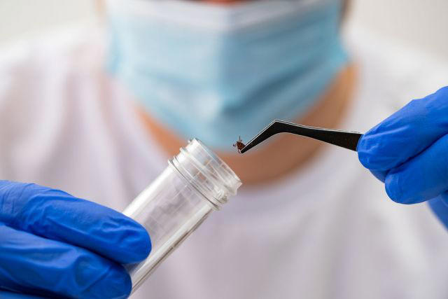 Early 2026 data show Lyme disease threat surging as 40% of Connecticut ...