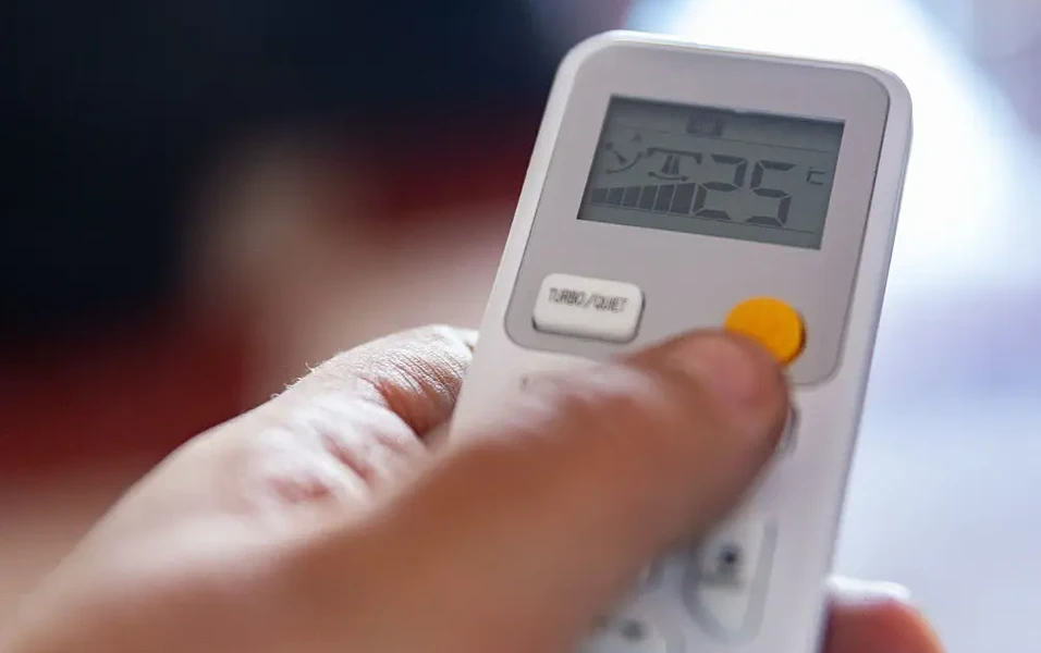 Experts stress design, health and upkeep for cooler summers
