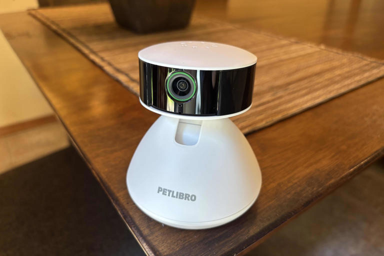 Petlibro's new pet cam is a solid entry model, especially if you ditch ...