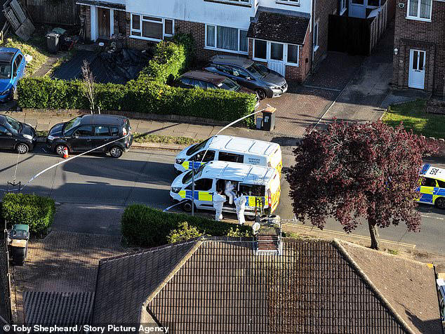Man who barricaded himself in house 'was seen with petrol and firearm ...