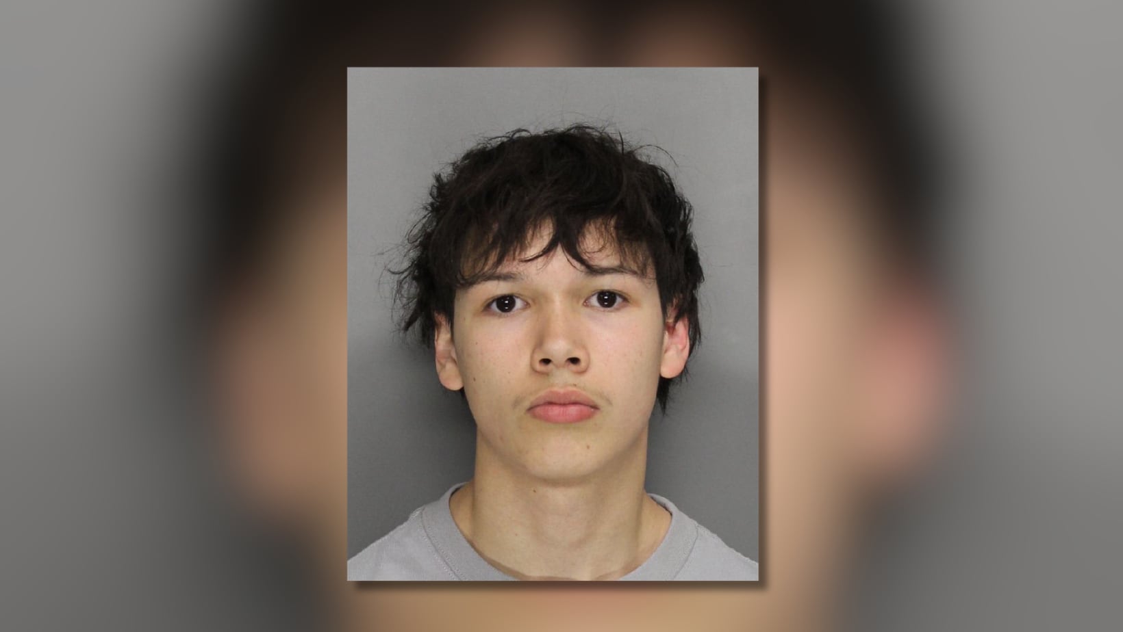 Georgia teen charged for bringing gun to Six Flags