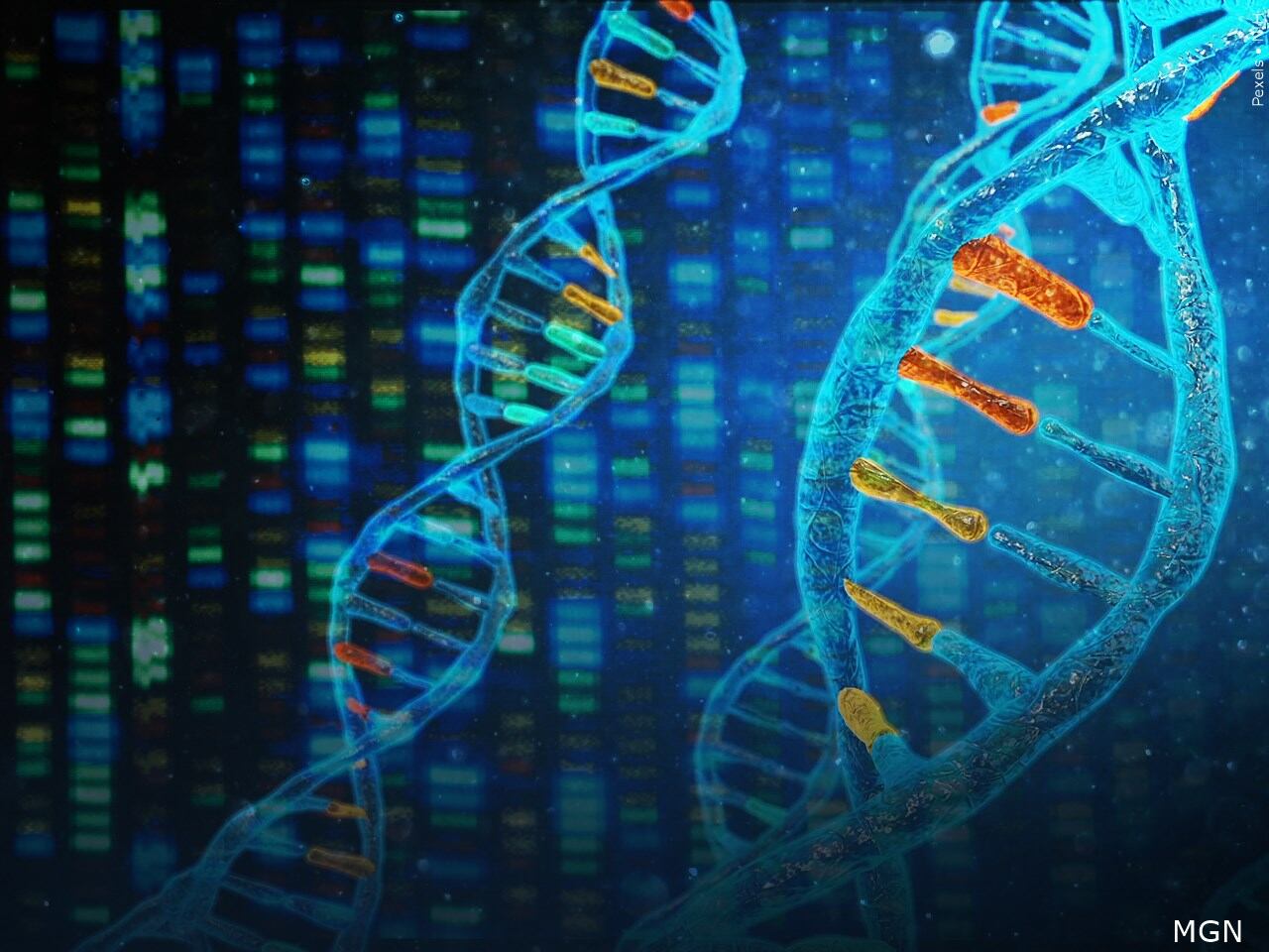 Hampden DA hopes pancake breakfast DNA drive helps solve cold cases
