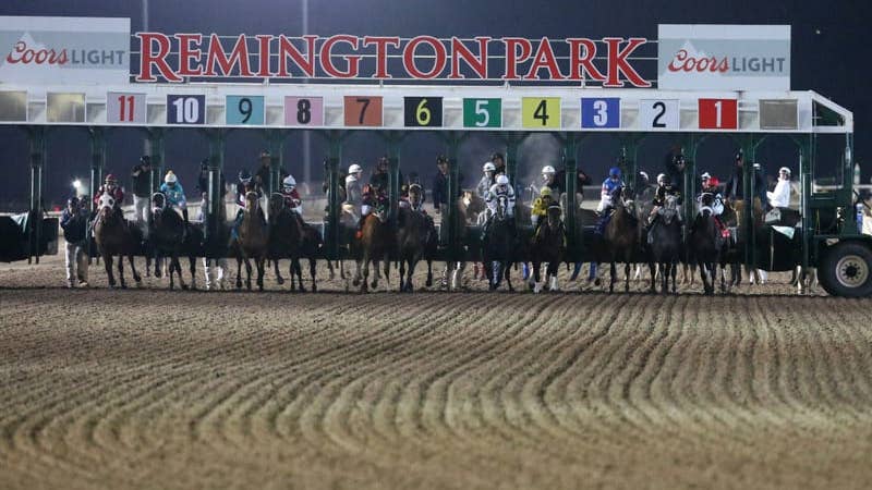 171 quarter horses remain on stewards’ list after courts side with ...