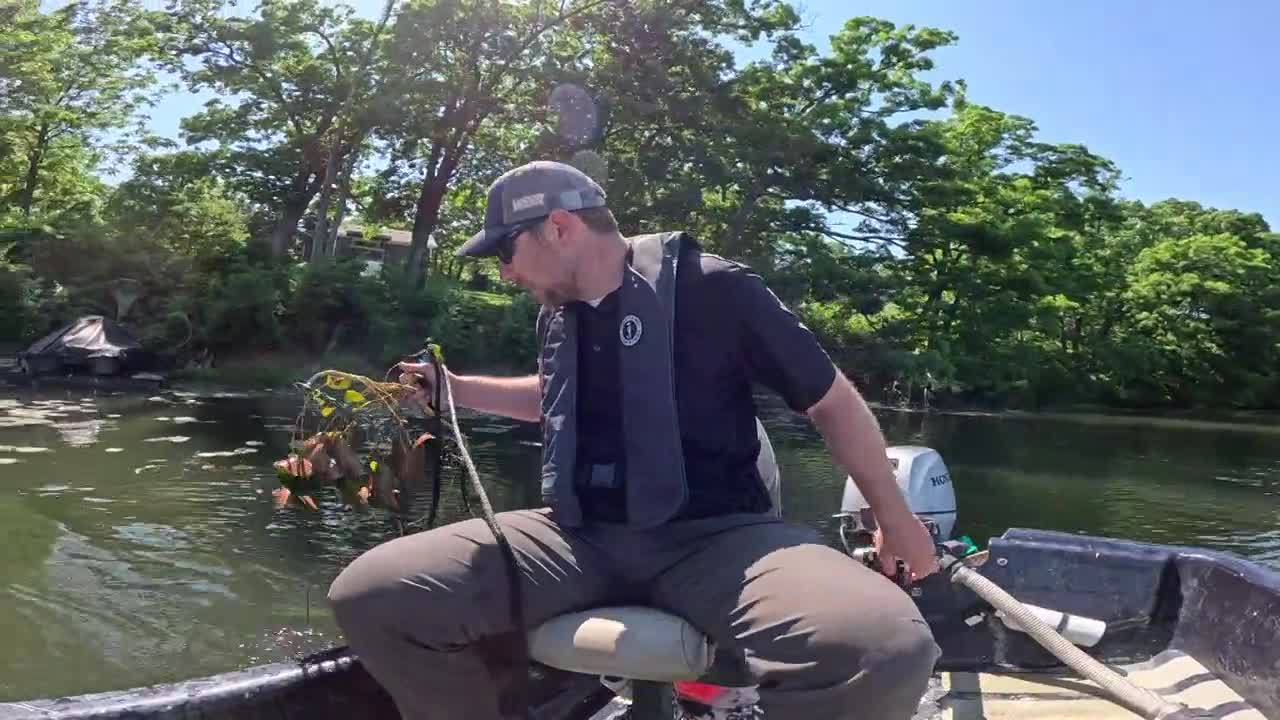 Process begins to kill invasive lily pads at Jackson County's Tarsney Lake