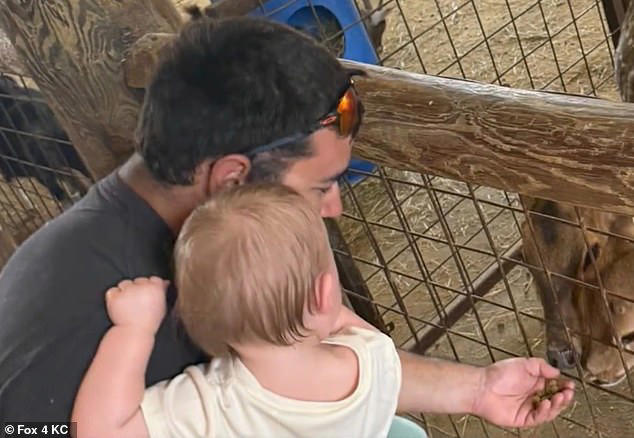 The family spent their vacation on a dolphin cruise and at the zoo