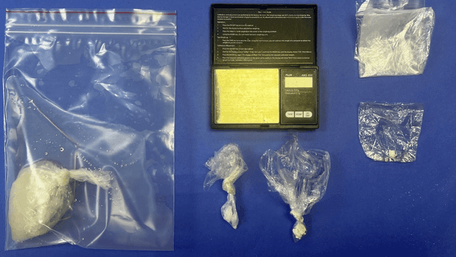 Man arrested following narcotics search warrant in Henry County ...