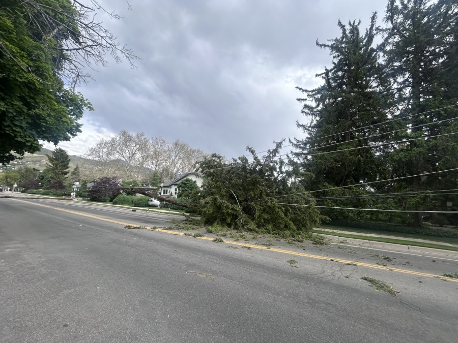 Thousands without power throughout Utah amid high winds