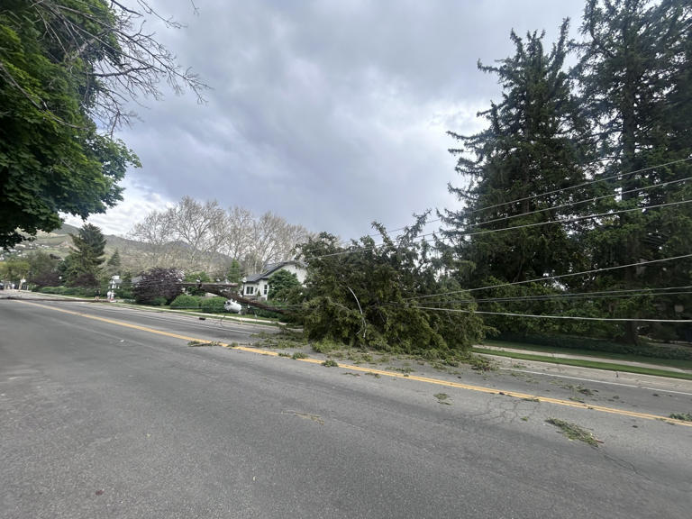 Thousands without power throughout Utah amid high winds