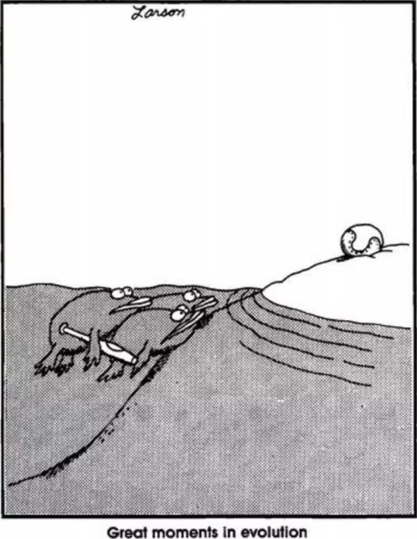 Fish stare at a ball on the shore, one holding a baseball bat, in The Far Side.