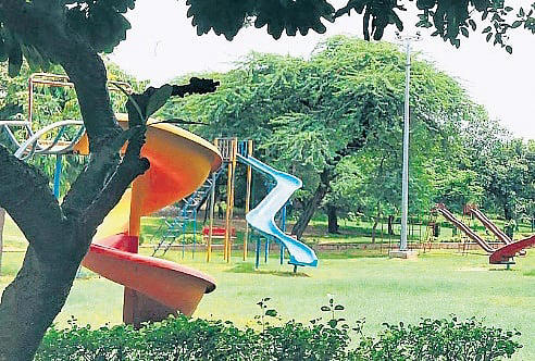 RWAs, NGOs got Rs 13 crore for upkeep of 1,643 parks in Delhi last ...
