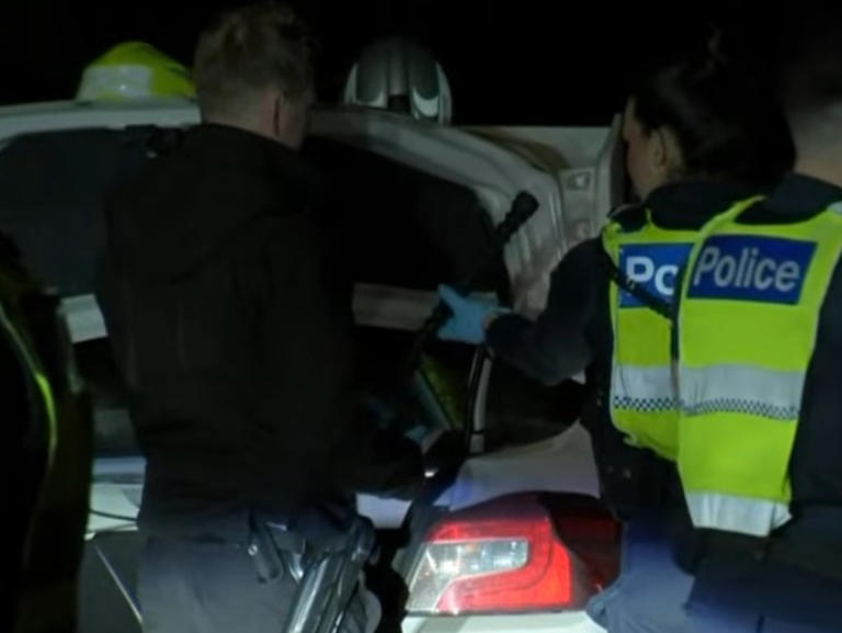 Man tasered, arrested in wild police chase