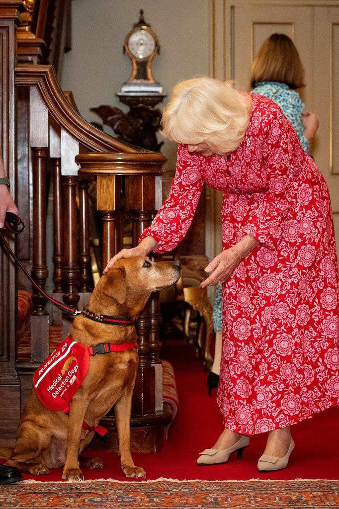 Queen Camilla just wore a high street dress for the second time in 2026