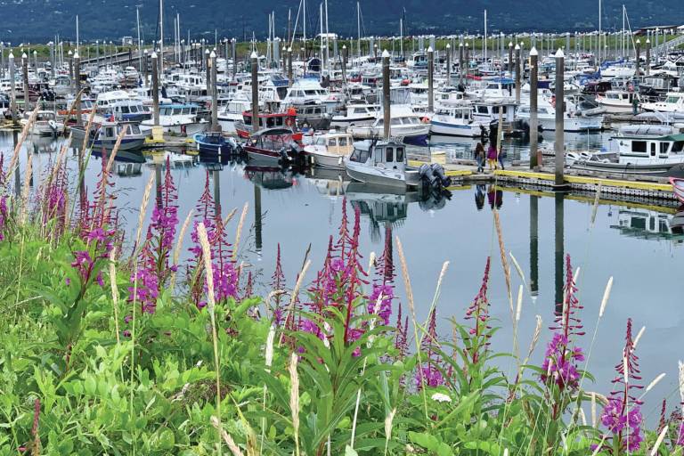 Homer harbor expansion public comment opens next week