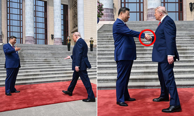 Trump's hidden five-tap code in handshake with Xi... and the 'bullfrog ...