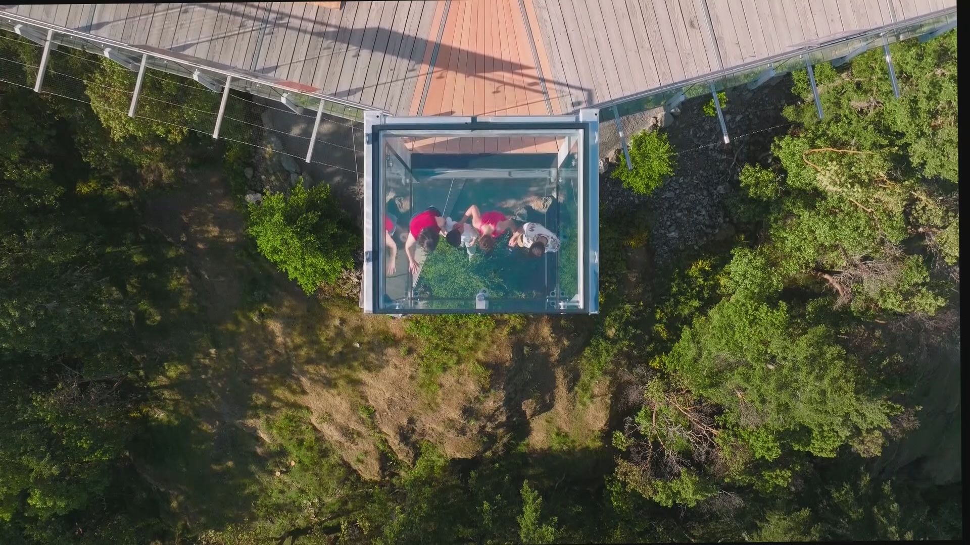 Thrilling Vancouver Island attraction unveiled