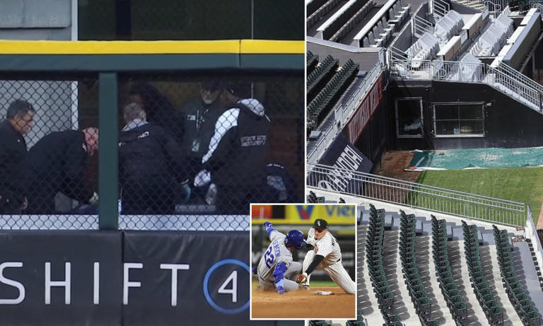 Baseball fan rushed to the hospital after terrifying fall from the stands