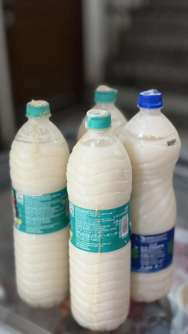 Rice beer has become Delhi’s coolest drink trend and that’s why ...