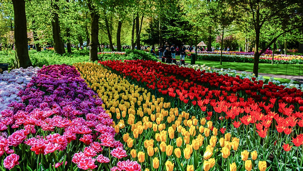 Floral-inspired décor trends blend garden color and indoor style