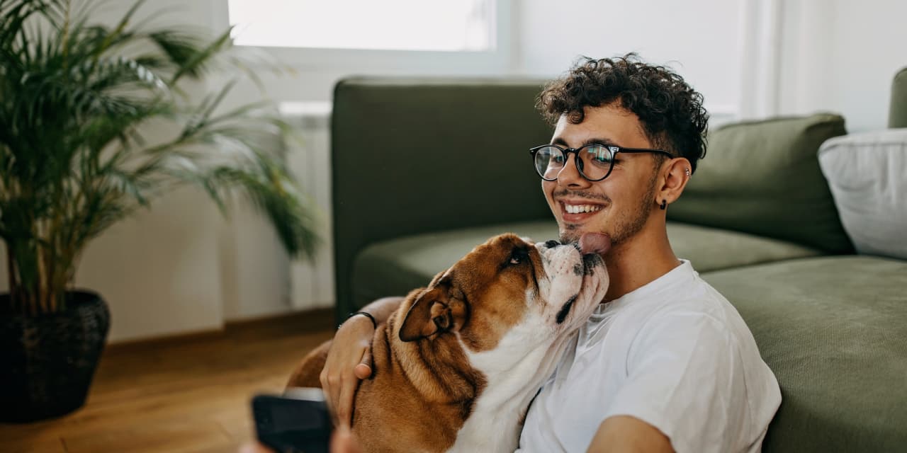 ‘I know end-of-life stuff can be expensive:' How much money should I expect to spend on care for my senior bulldog?