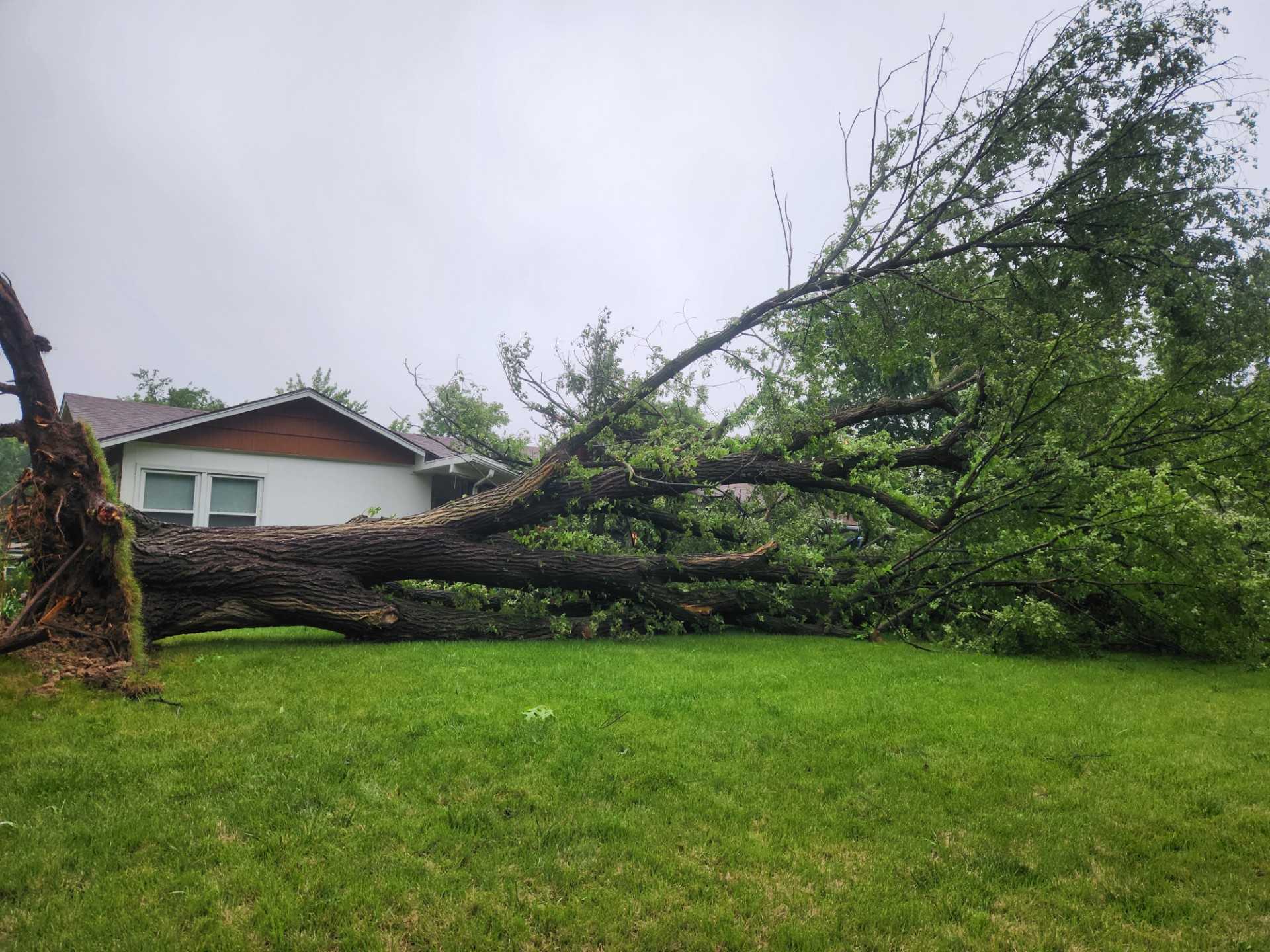 Crews switch to cleanup mode after storms hit the Kansas City metro