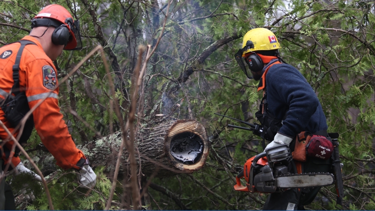 Crews make 'excellent progress' as Stewart Trail Fire perimeter 100% ...