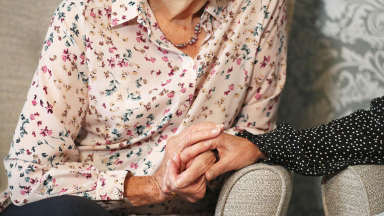Picture Idea: Volunteers Sought For Palliative Care Project