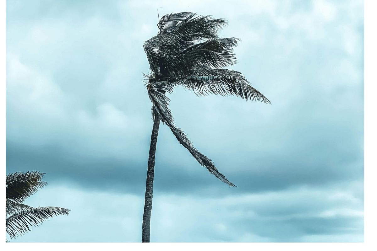 Weather: Light coastal winds with isolated showers expected