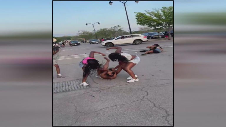 Business owner, parkgoers call for Charlotte beach brawls to get under ...