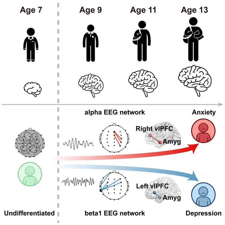 Brain-wave patterns at age 9 may predict anxiety and depression